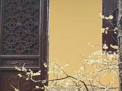 -西园戒幢律寺