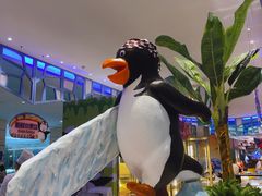 -帝企鹅自助餐厅•儿童岛•真企鹅(长隆企鹅酒店)