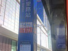 -大望路(地铁站)