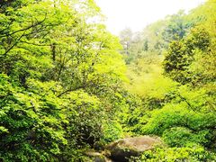 -大围山国家森林公园