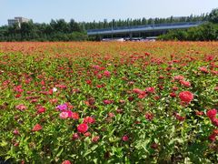 -长春世界雕塑园冰雪艺术天地