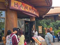 -哈蒙德餐厅
