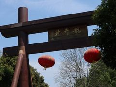-龙井壹号·茶缘山景宴(龙井村店)