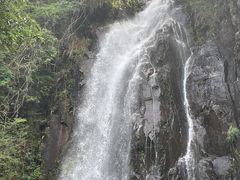 -姑婆山旅游区