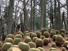 -南山植物园