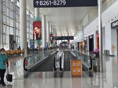-广州白云国际机场-T2航站楼
