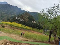 -新安江山水画廊风景区