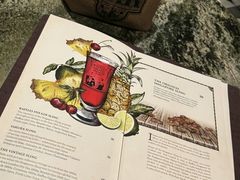 -Long Bar(莱佛士酒店)