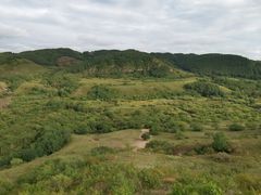 -御道口草原森林风景区