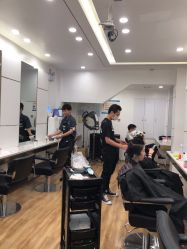 -YESIDO椰岛造型