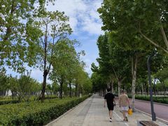 -盘龙城国家考古遗址公园