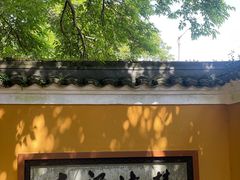 -普陀山风景区-佛顶山