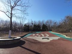 -大兴滨河森林公园