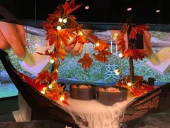 刺身五种拼盘-地球美食剧场