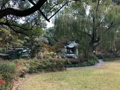 -申粤轩酒楼·三十年粤菜经典(丁香花园店)