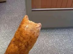 -洪都大拇指(洪都店)