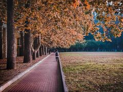 -广西大学(大学东路校区)