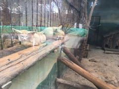 -昆明动物园