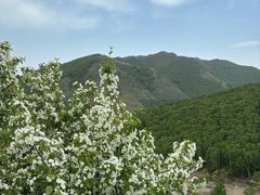 -灵山