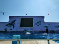 -北戴河圣蓝海洋公园