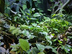 -萌宠奇缘(荣鼎店)