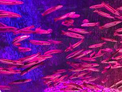 -多彩贵州城极地海洋世界