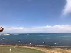 -青海湖国家重点风景名胜区