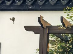 -苏州文庙(姑苏区)