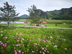 -塞罕坝国家级自然保护区