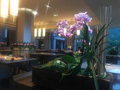 -台北北投丽禧温泉酒店