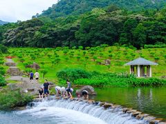 -广州市石门国家森林公园