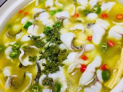 -青花椒花椒鱼(合生汇店)