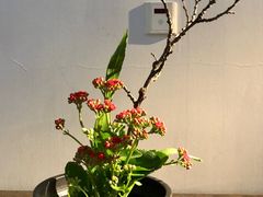 -稍可轩博物馆餐厅