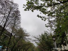 -鸡鸣寺