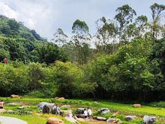 -黄埔油麻山森林公园