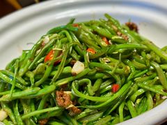 -鸽子窝(青塔店)