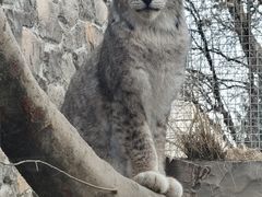 -青藏高原野生动物园