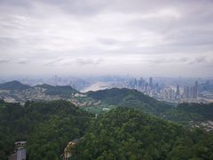 -大金鹰园
