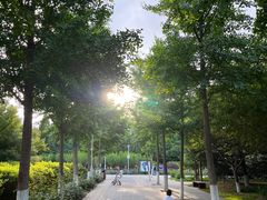 -东升八家郊野公园