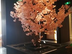 -提香日本料理