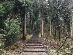 -山王坪喀斯特国家生态公园