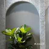 正觉胡同5号 新开了家咖啡店