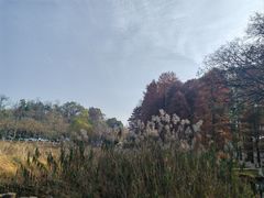 -青龙山国家森林公园
