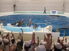 -鹿儿岛水族馆