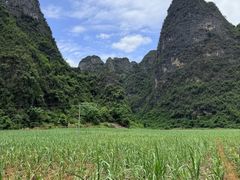 -明仕田园