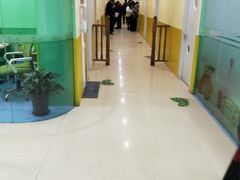 -小问号·科学启蒙·逻辑思维·阅读素养·口才演讲(杨浦合生汇中心)