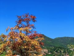 -翠屏湖景区