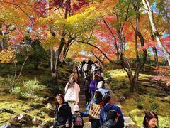 -常寂光寺