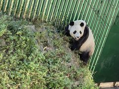 -沈阳森林动物园