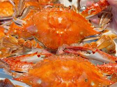 -望海湾海鲜楼·海鲜(河南路店)